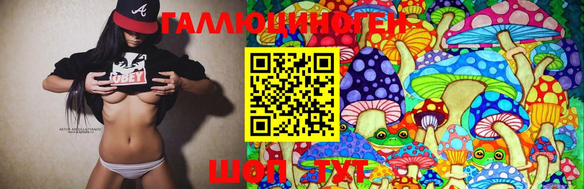 Псилоцибиновые грибы Cubensis Копейск