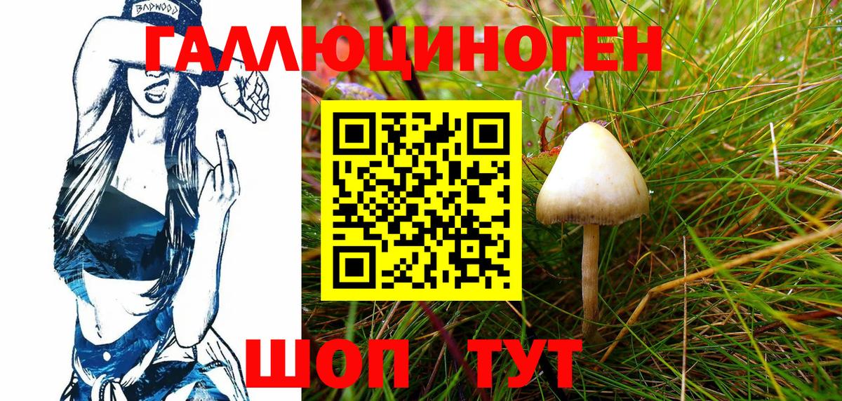 купить наркотик  Псилоцибиновые грибы MAGIC MUSHROOMS  Вход с VPN  Копейск 